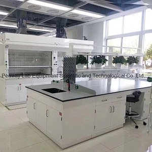 Chemical Resistant School Chemistry University Lab Bench Lab Table Lab Furniture