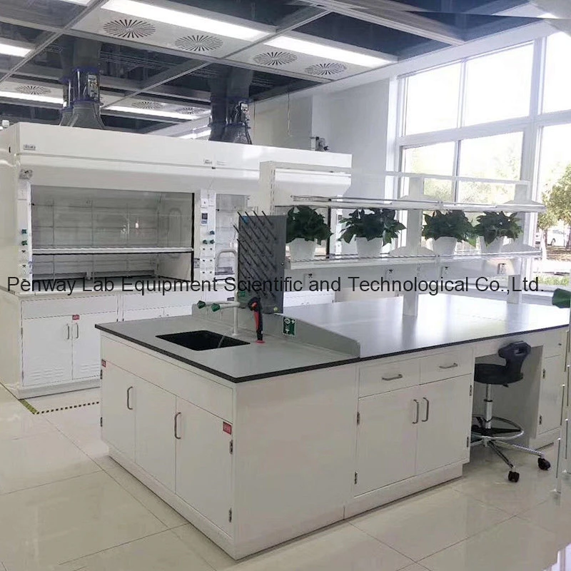 Chemical Resistant School Chemistry University Lab Bench Lab Table Lab Furniture