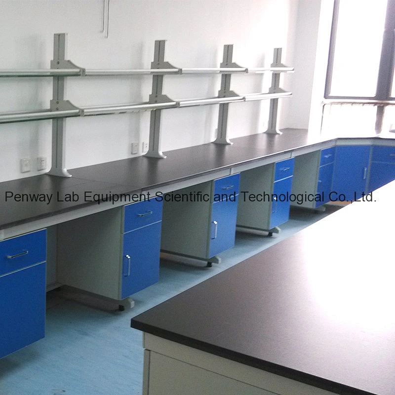 Chemical Resistant Steel and Wood Lab Furniture with Good Quality