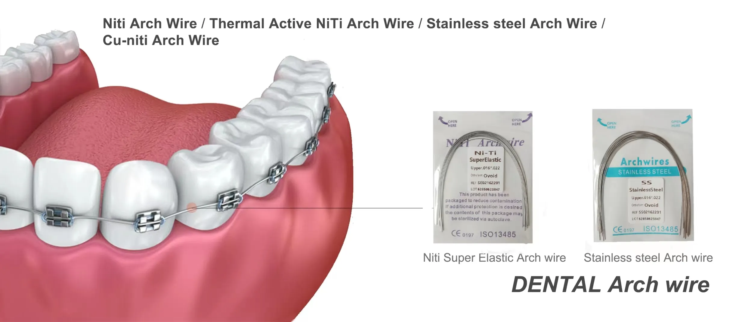Dental Arch Wire