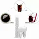 teeth filling material