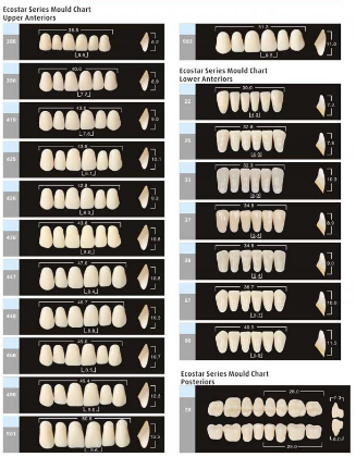 denture acrylic teeth