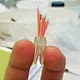 root canal filling materials