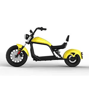 ELECTRIC HARLEY HL6.0S(EEC)