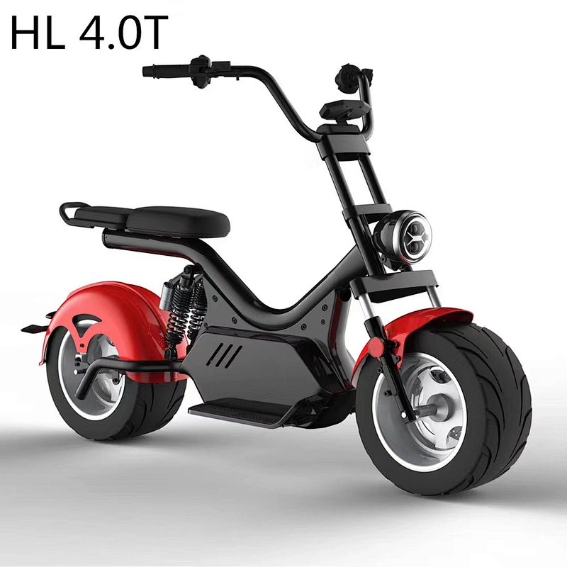 ELECTRIC HARLEY HL4.0T (EEC)