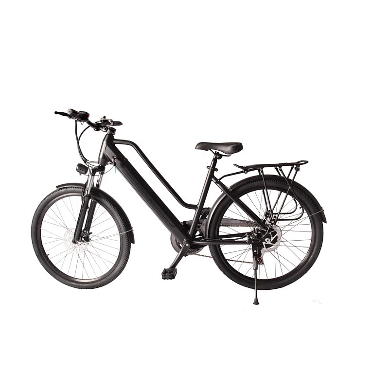 EBIKE PE-2603