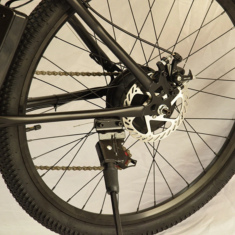 EBIKE PE-2604