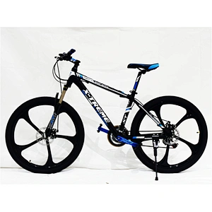 XT26ALM21S X-TREME BIKE