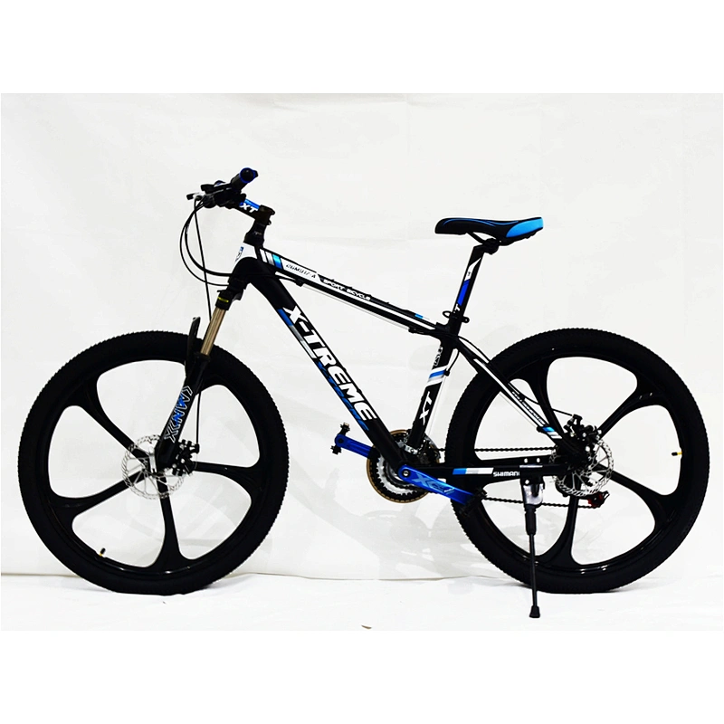 XT26ALM21S X-TREME BIKE