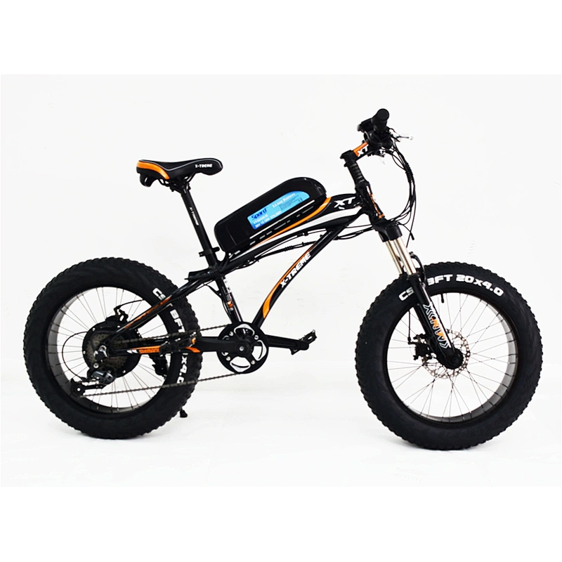 XT20ALFATEBIKE X-TREME EBIKE