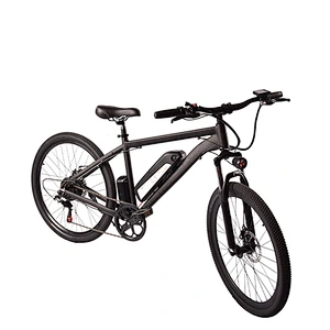 EBIKE PE-2602