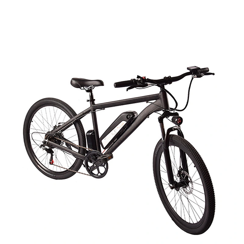 EBIKE PE-2602