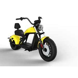 ELECTRIC HARLEY HL6.0S(EEC)
