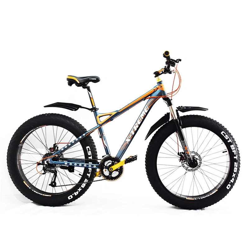XT26ALFAT X-TREME BIKE
