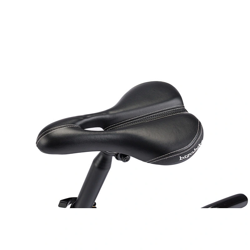 EBIKE PE-14002