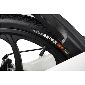 EBIKE PE-14002