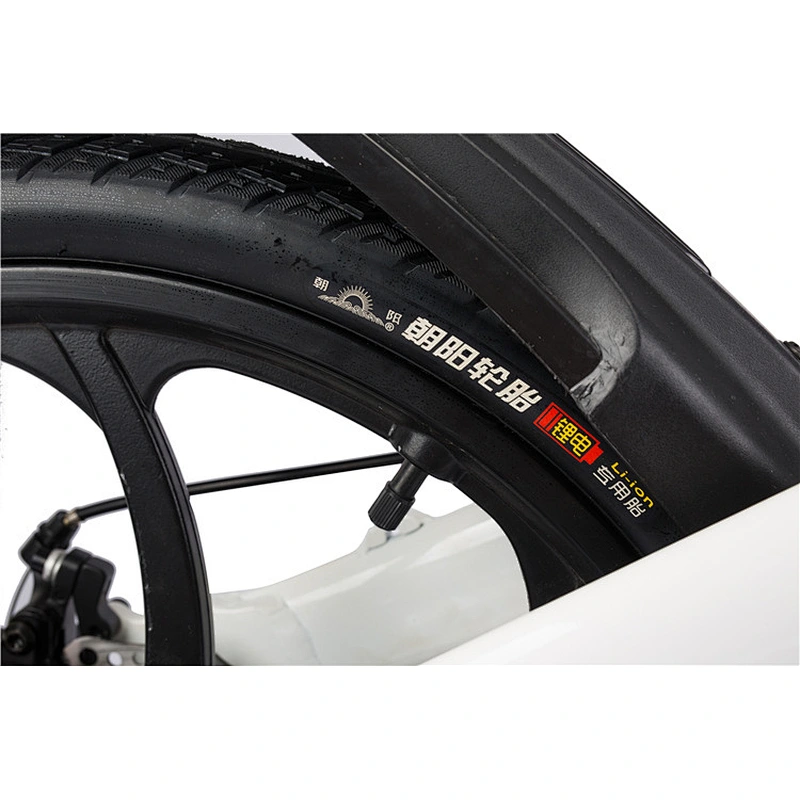 EBIKE PE-14002