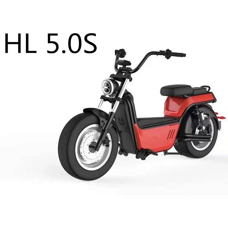 ЭЛЕКТРИЧЕСКИЙ ХАРЛИ HL 5.0S (EEC)