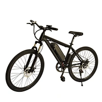 EBIKE PE-2604
