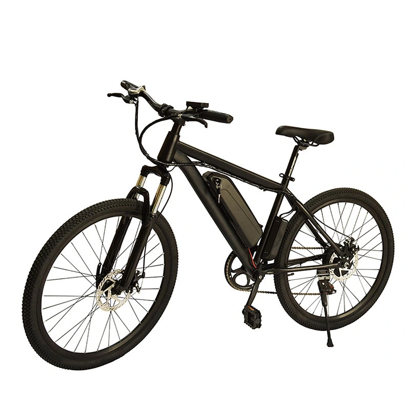 EBIKE PE-2604