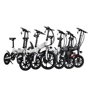 EBIKE PE-14002