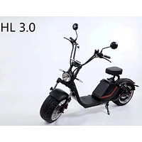 ELECTRIC HARLEY HL3.0(EEC)