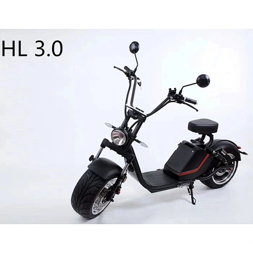ELECTRIC HARLEY HL3.0(EEC)