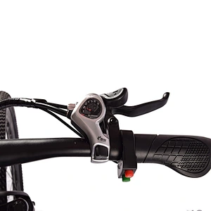 EBIKE PE-2602