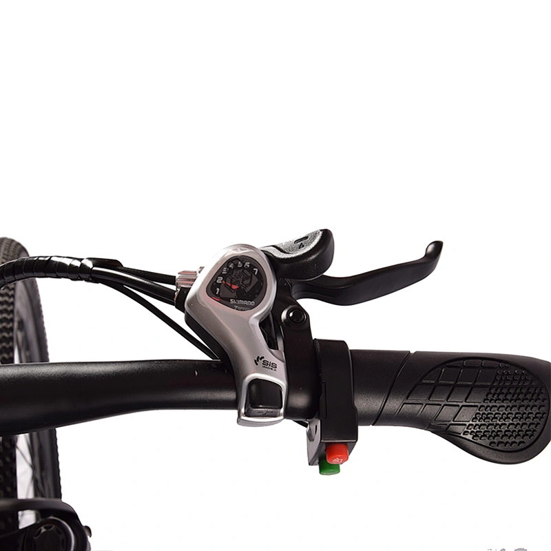EBIKE PE-2602