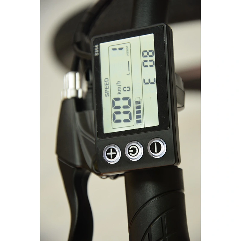 EBIKE PE-2801