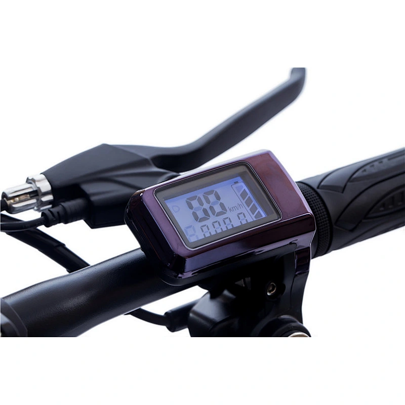 EBIKE PE-14002