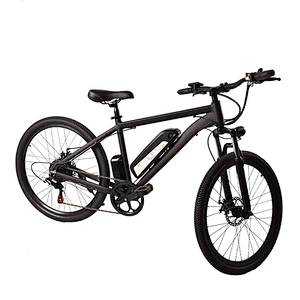 EBIKE PE-2602