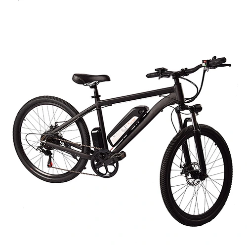 EBIKE PE-2602