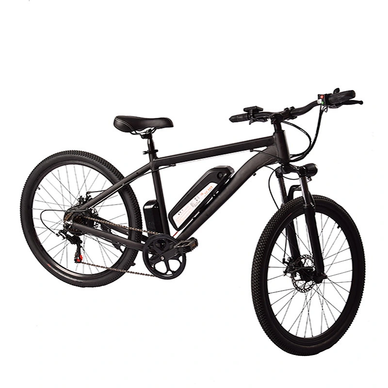 EBIKE PE-2602