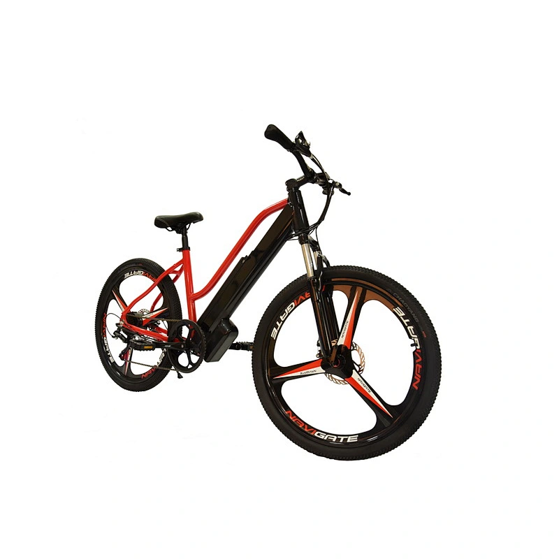 EBIKE PE-2801
