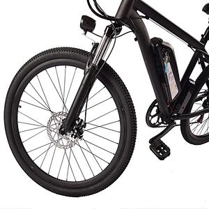 EBIKE PE-2602