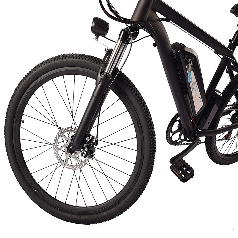 EBIKE PE-2602