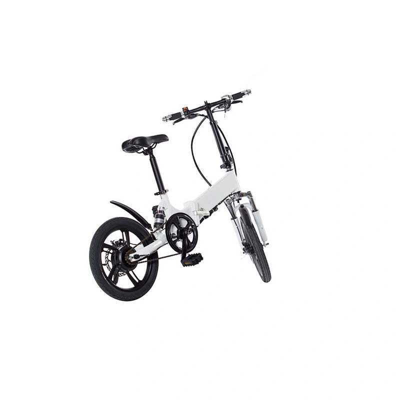 EBIKE PE-14001