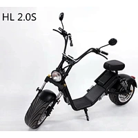 ELECTRIC HARLEY HL2.0S(EEC)
