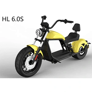 ELECTRIC HARLEY HL6.0S(EEC)