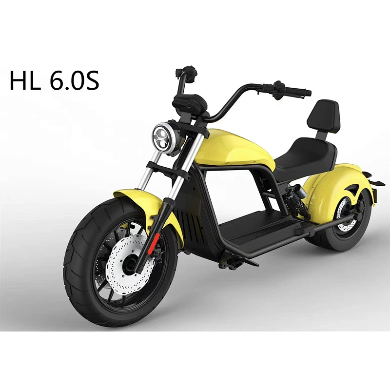 ELECTRIC HARLEY HL6.0S(EEC)