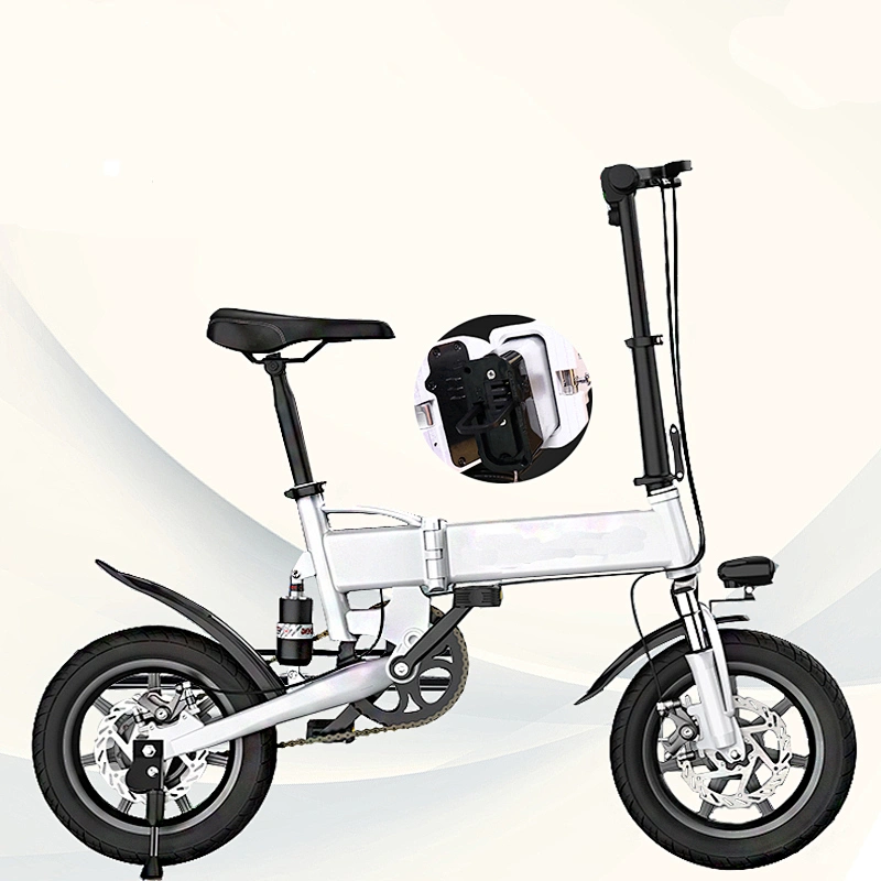 EBIKE PE-14002