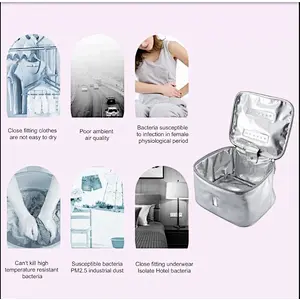 UVC BAGS/Disinfection Sterilizer Bag