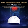 brain