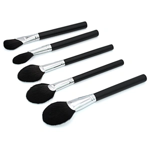 Sample Free Makeup Brushes/Cosmetic Brush Wholesale