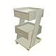 Chariot mobile, armoire dentaire, chariot à outils, armoire à l'échelle