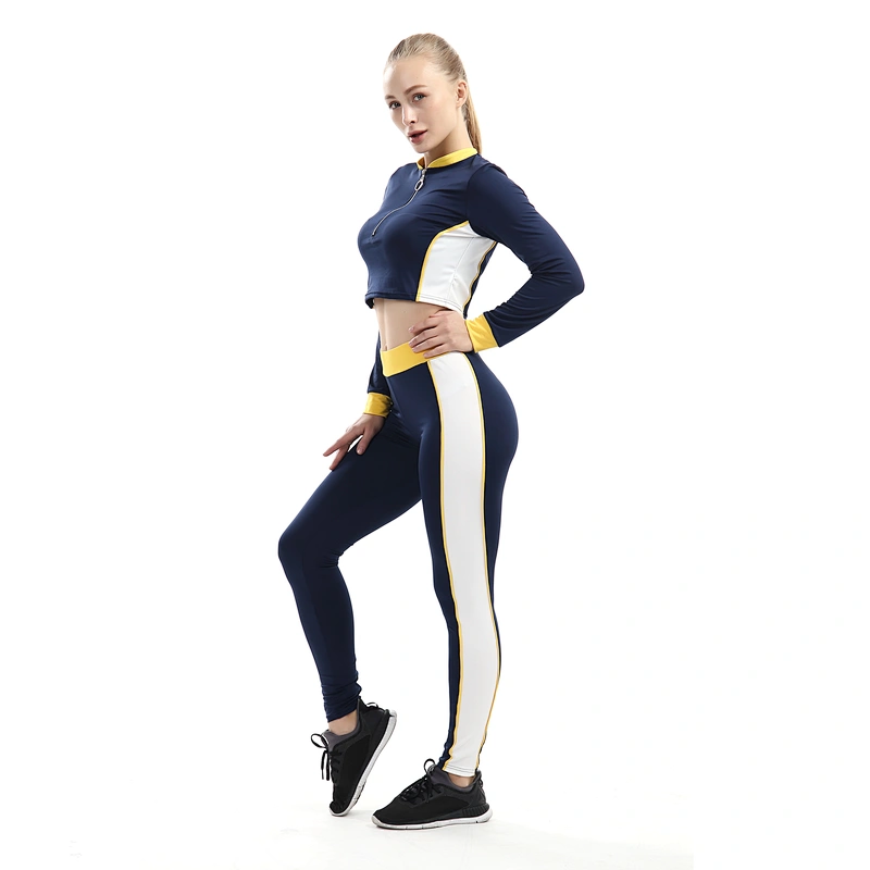 Comfortable Hot Sale Girl Hoody Sweatshirt Sexy Crop Top hoodie for Women With Zipper