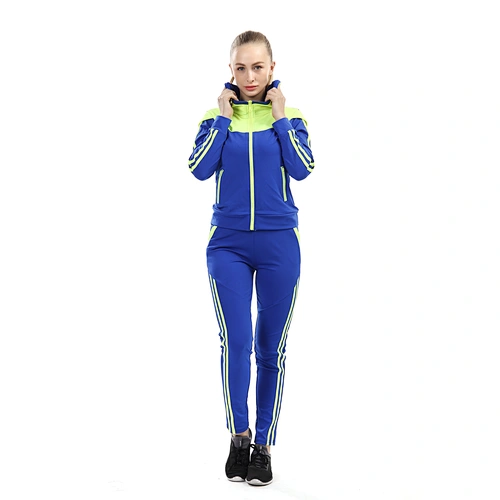 OEM plain hoodies and pants set fitness womens  tracksuit Set