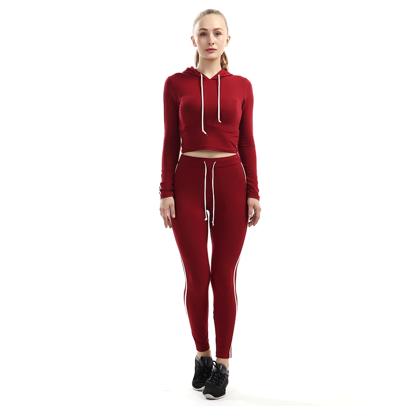 Womens Long Sleeve Hoodies Sweatshirts Active Jogger Pants Tracksuit Set