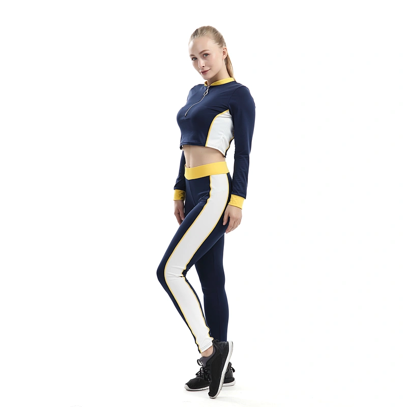 Comfortable Hot Sale Girl Hoody Sweatshirt Sexy Crop Top hoodie for Women With Zipper